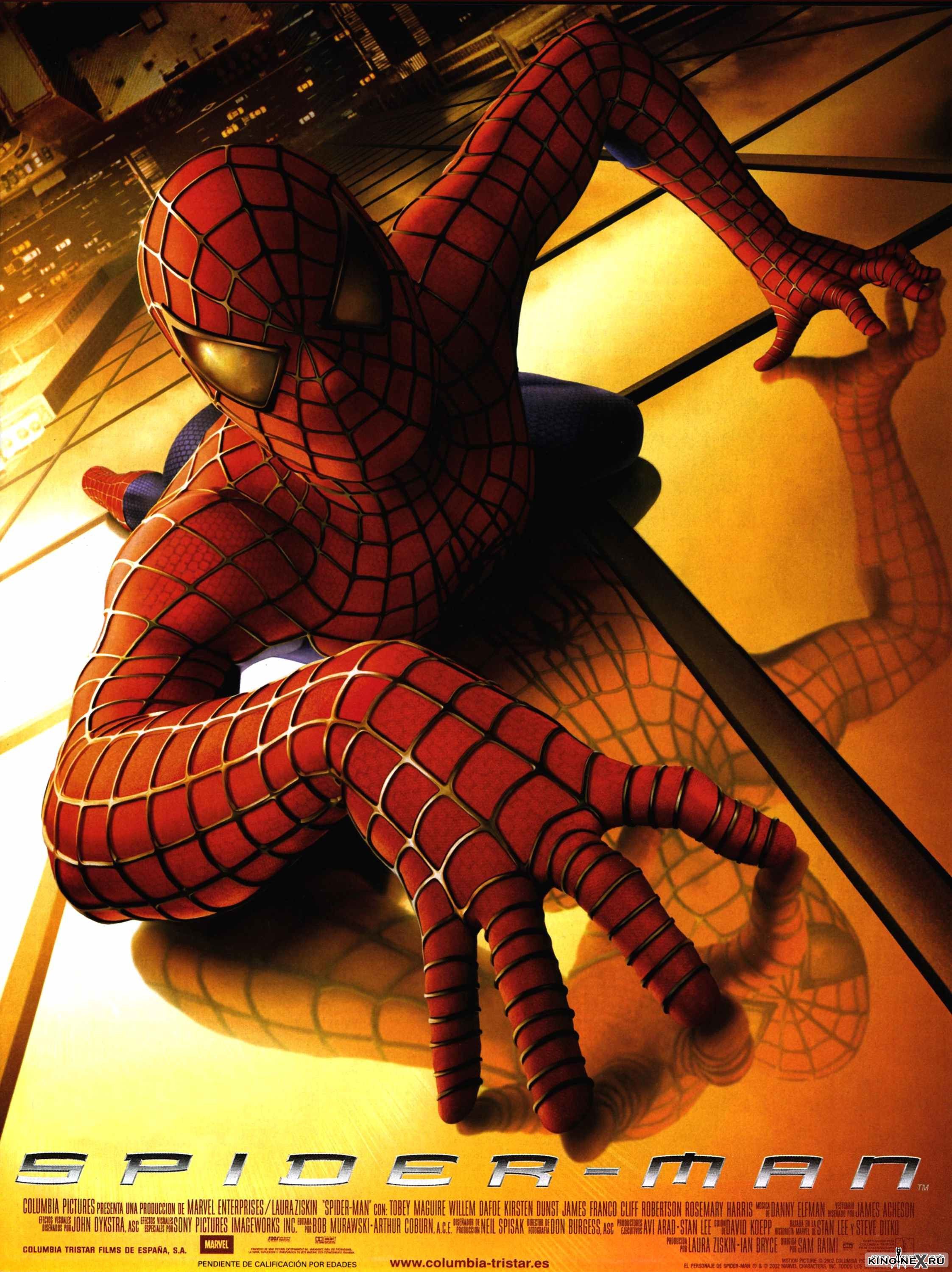 SpiderManPoster