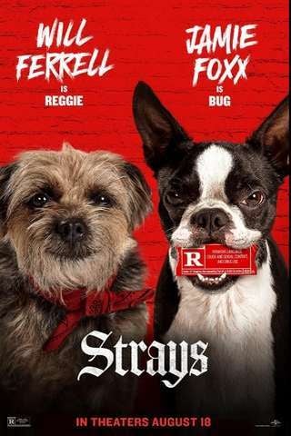 strays_default